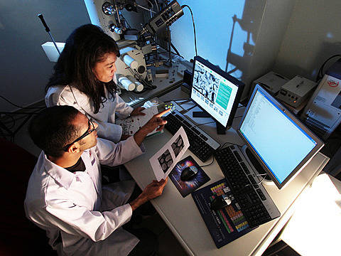 How an MSc in Computational Life Science prepares you for the future