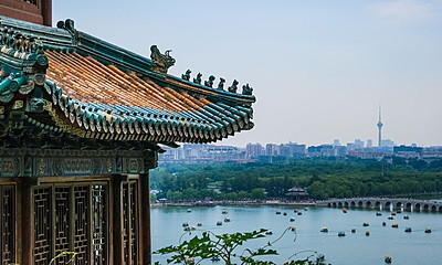 Degree in Chinese Studies: All you need to know