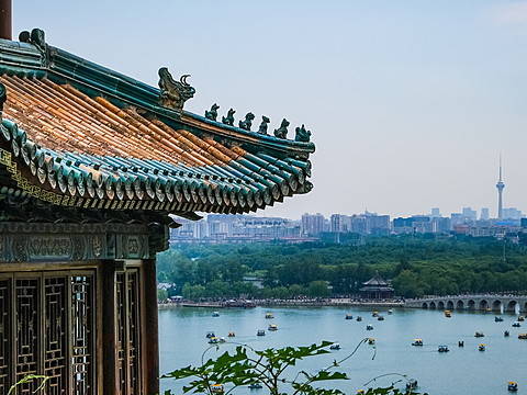 Degree in Chinese Studies: All you need to know